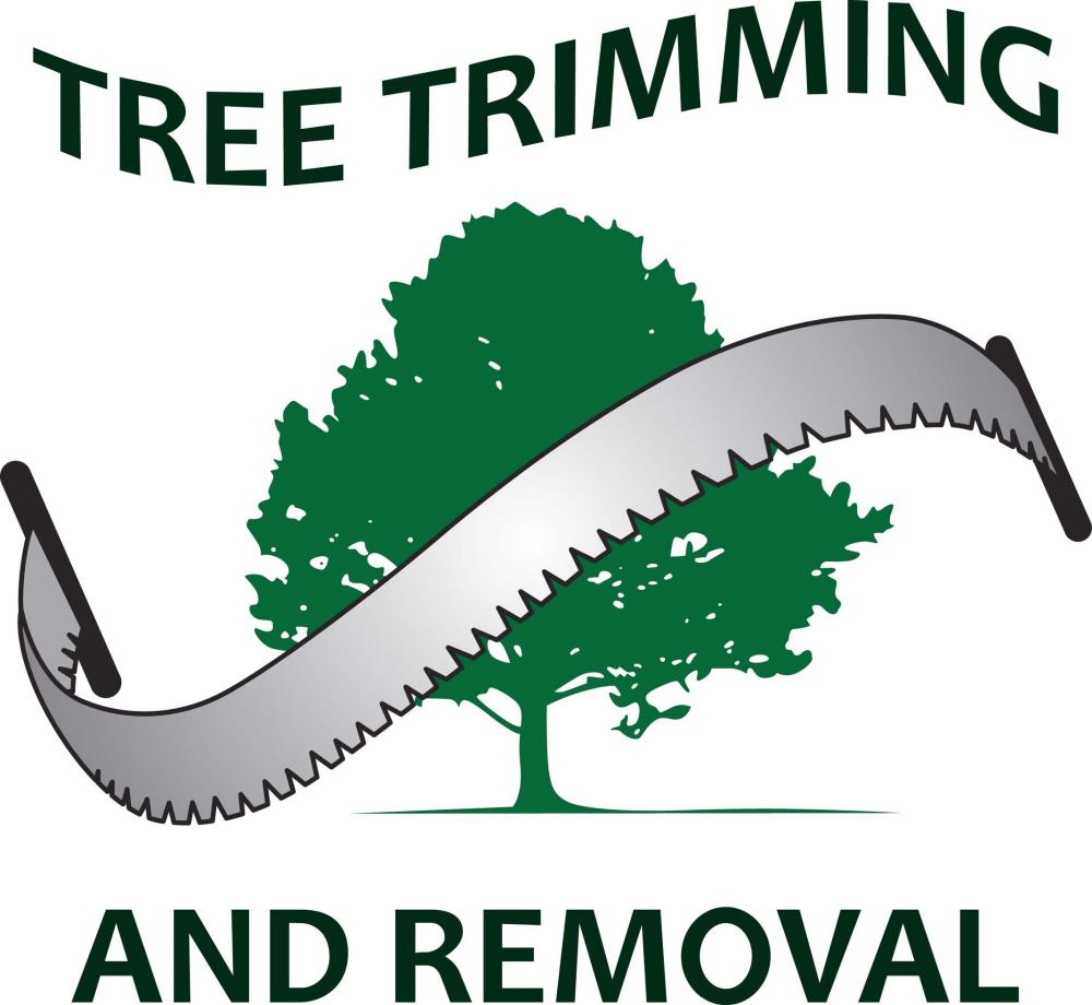 Cheap Trees LLC: Service Image-4 Cheap Trees LLC: Service Image-4