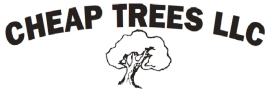 Cheap Trees LLC Cheap Trees LLC